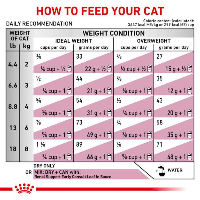 Dry Cat Food S411