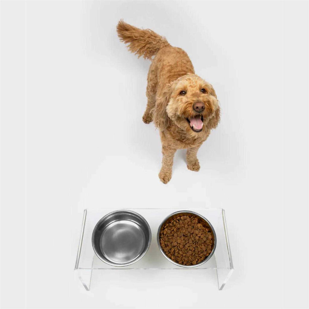 Clear Double Bowl Pet Feeder M724