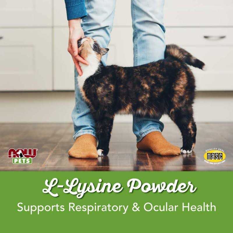 L-Lysine Powder for Cats K9139