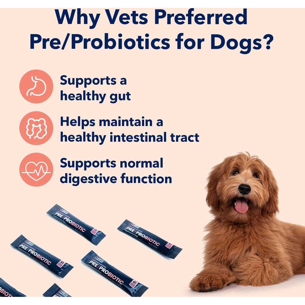 Chicken Flavored Pre-Probiotic Powder Supplement for Dogs 30 Sticks G317