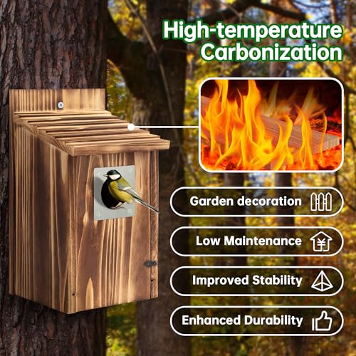 2 Pack Carbonized Wooden Bird Houses with Metal Predator Guard S451