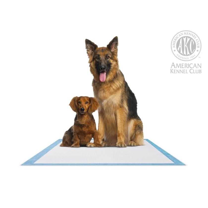 Training Pads E663684
