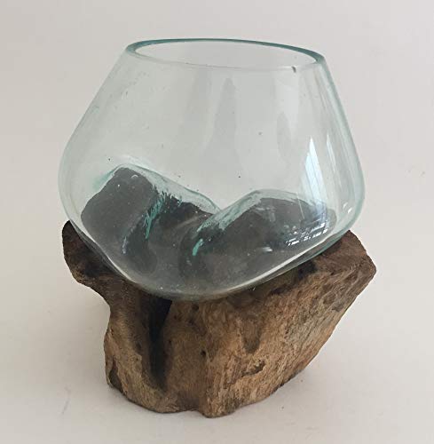 Hand Blown Molten Glass & Teak Wood Terrarium (6" - 7" High) P267091