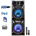 Rechargeable Bluetooth 12inch Double Subwoofer Portable Party Speaker R435