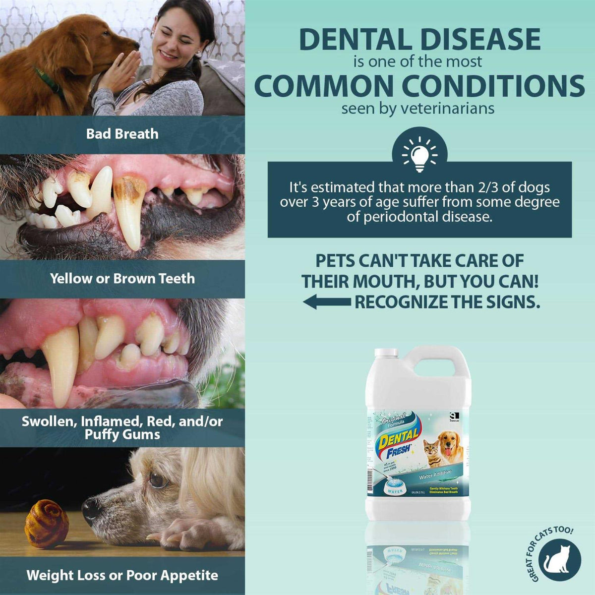 1 Gallon Dental Fresh X747