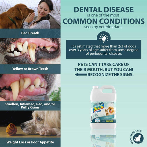 1 Gallon Dental Fresh X747