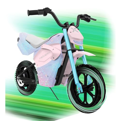 300W Motor 9MPH Max Speed 12” Off-Road Tires Electric Dirt Bike Z4582