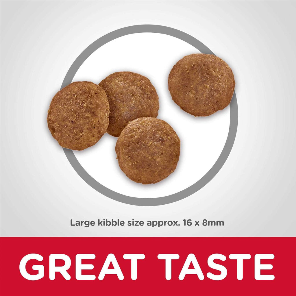 Chicken & Barley Recipe Large Breed Dry Dog Food M95899