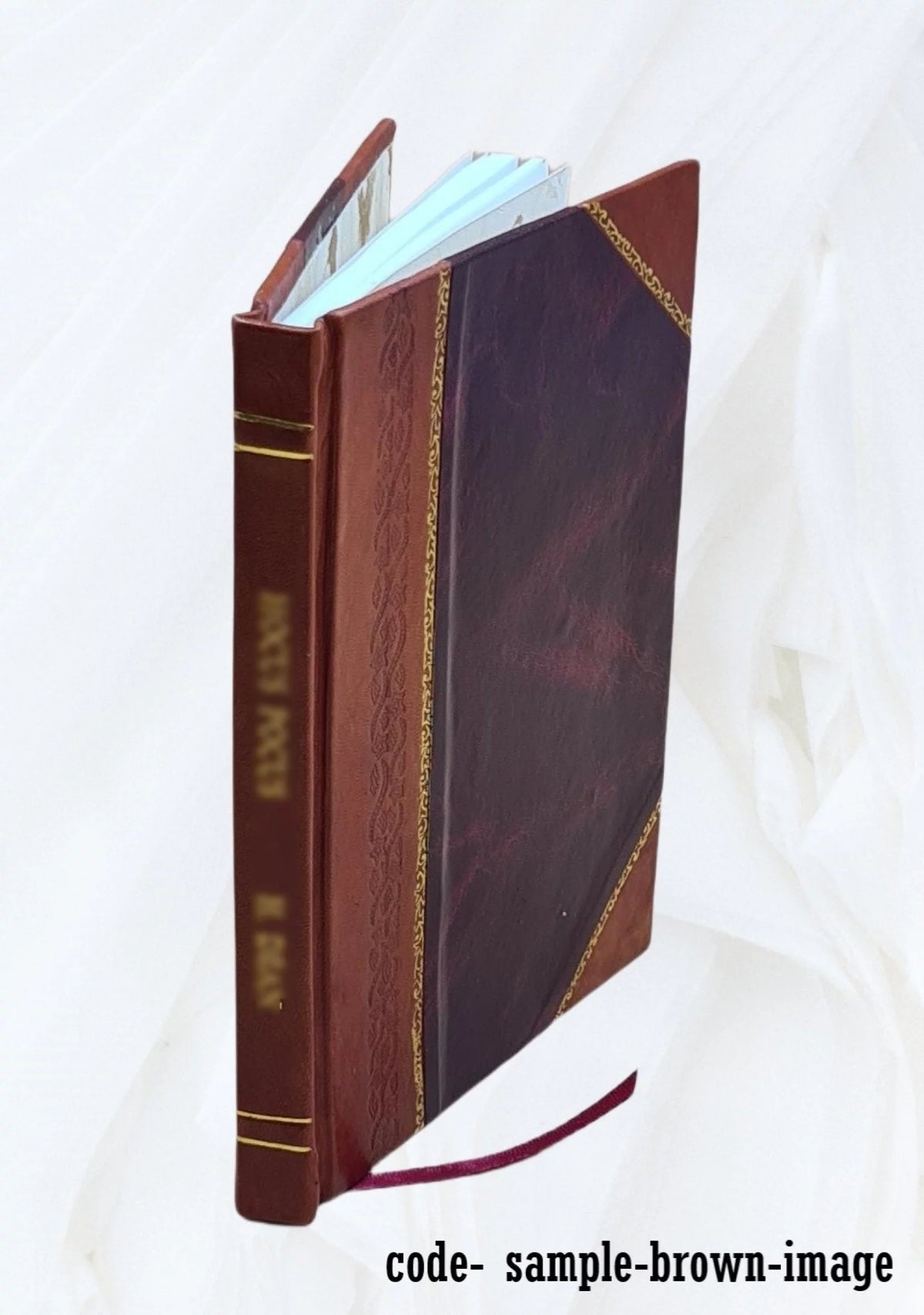 Leather Bound S26054