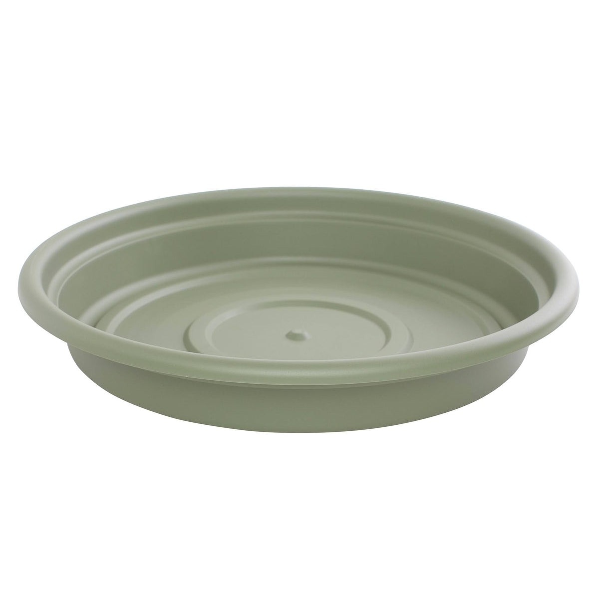 Living Green Saucer 12 in. K52238