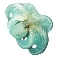 Green Octopus Underwater Pool Mat Tattoo I422772