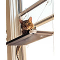 Cat Perch A418916