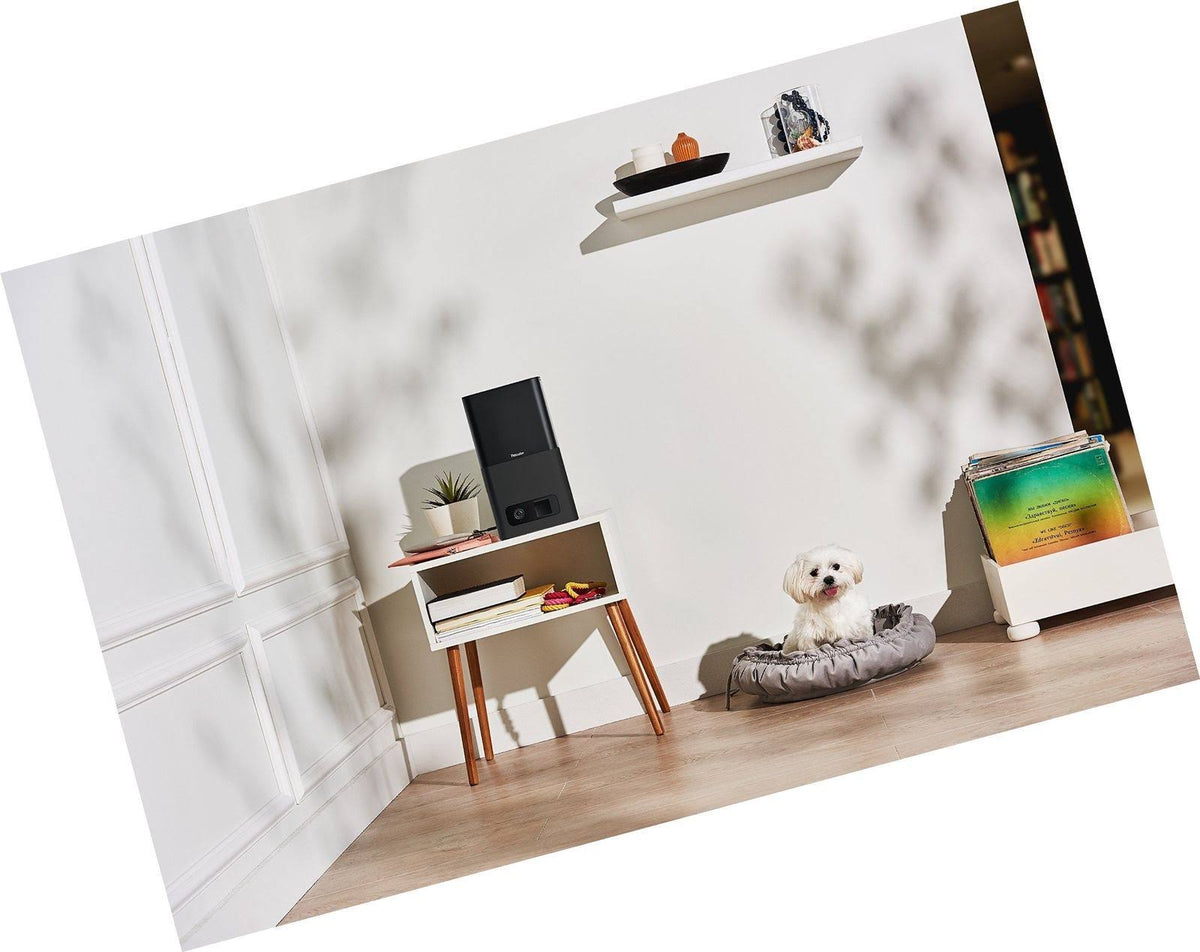 Indoor Pet Camera with Night Vision and Two-Way Audio C444