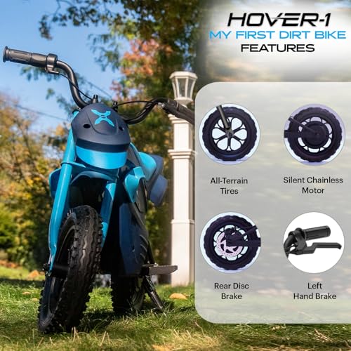 300W Motor 9MPH Max Speed 12” Off-Road Tires Electric Dirt Bike Z4582