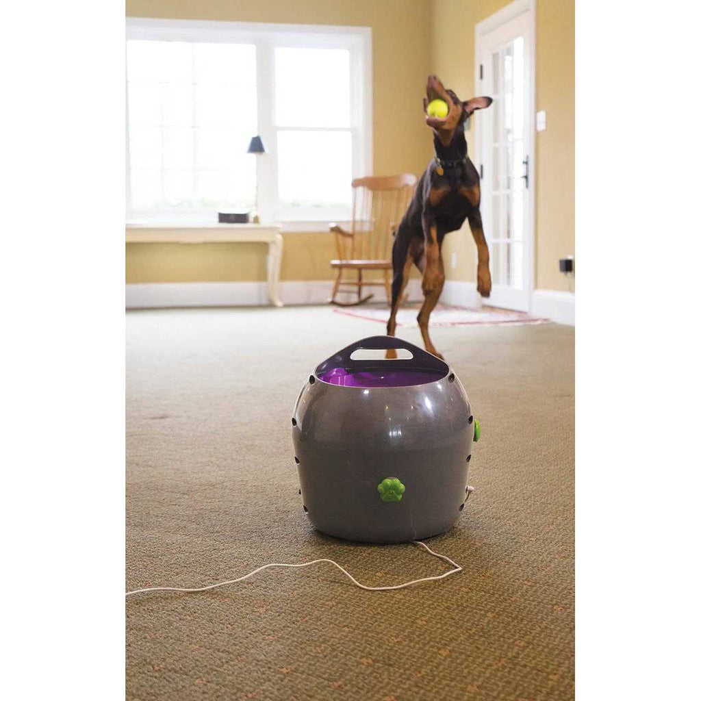 Automatic Ball Launcher Dog Toy E930