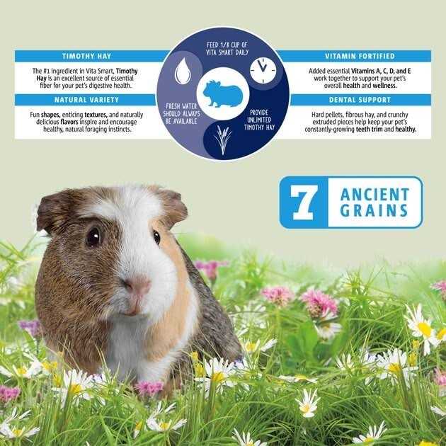 Guinea Pig Food S3516