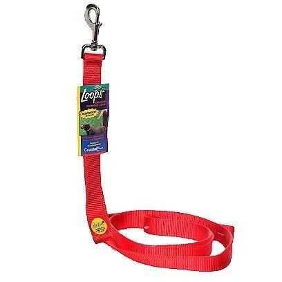 Double-Ply Nylon Traffic Leash T458
