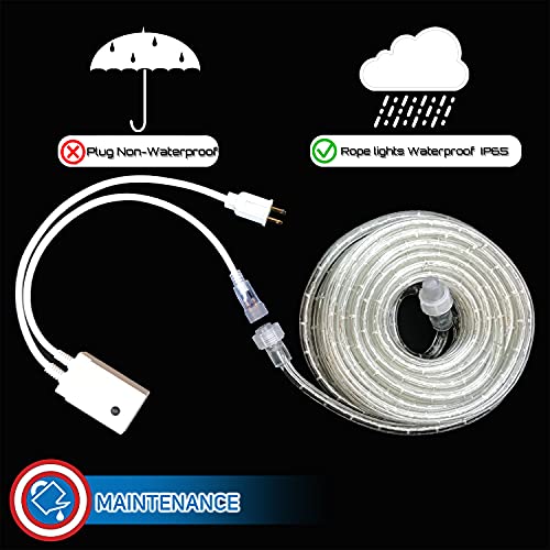 LED Rope Lights with Multifunction Controller 30 Ft K3377