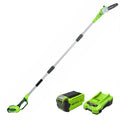 40V Cordless Battery Powered Pole Saw with 2.0 Ah Battery & Charger T662