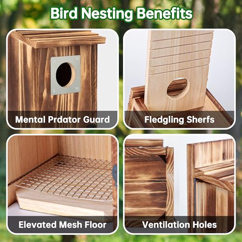 2 Pack Carbonized Wooden Bird Houses with Metal Predator Guard S451