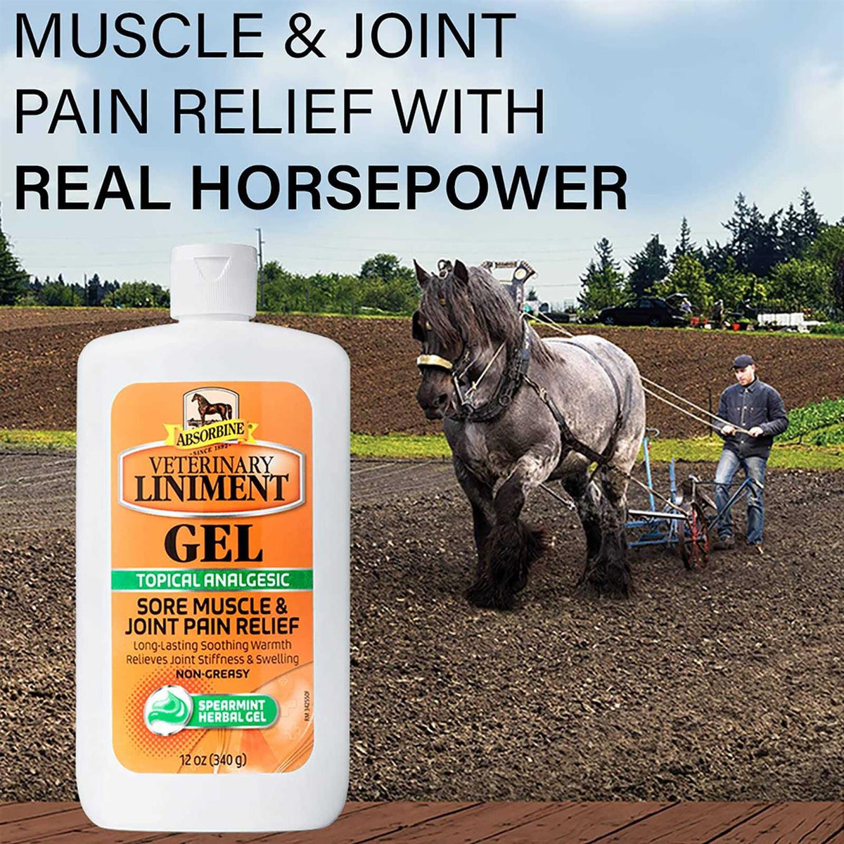 Absorbine Veterinary Liniment Gel N747