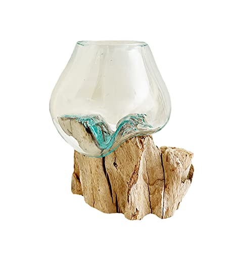 Hand Blown Molten Glass & Teak Wood Terrarium (6" - 7" High) P267091