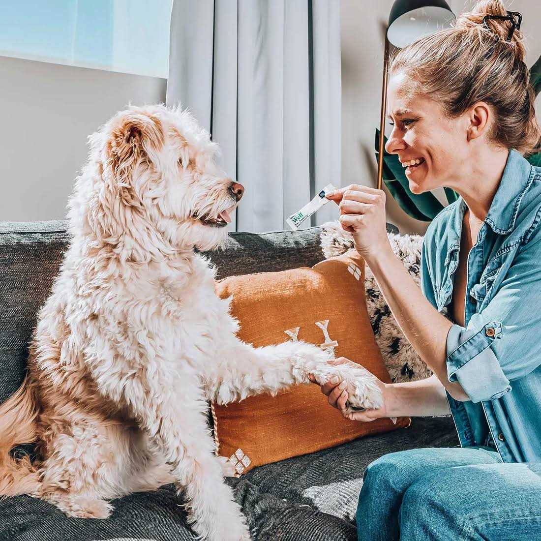 Probiotic Powder for Dogs with Prebiotic E78107