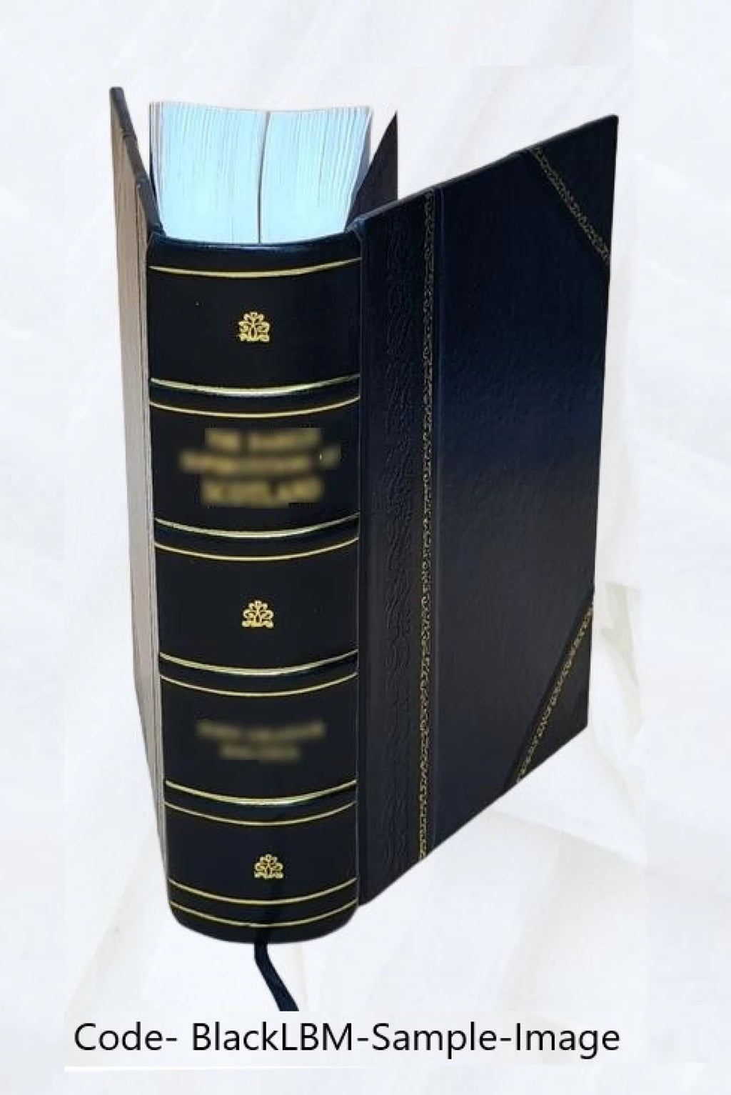 Electric Law Treatise Leather Bound H84817