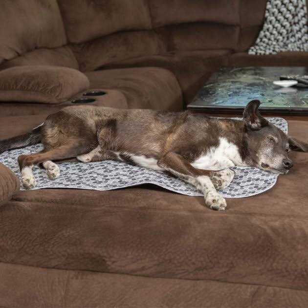 Quilted Washable Reusable Dog Pee Pads M772382