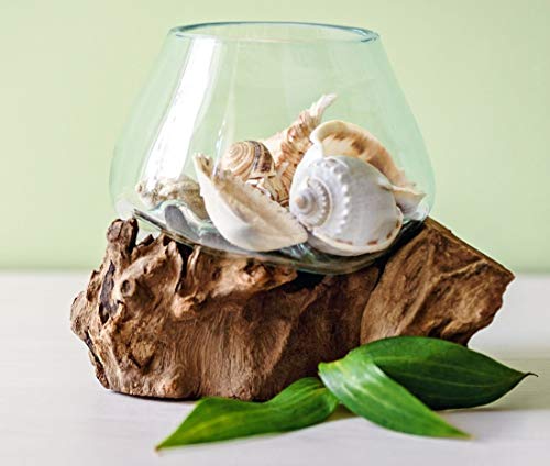 Hand Blown Molten Glass & Teak Wood Terrarium (6" - 7" High) P267091