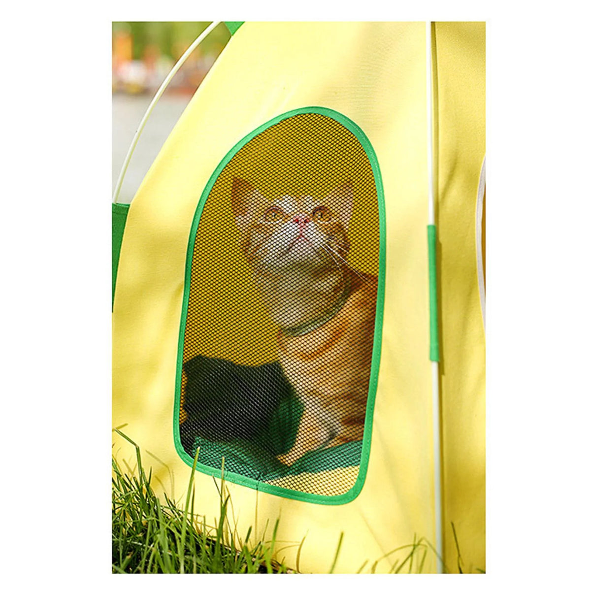 Cat Tent Pet House U406250