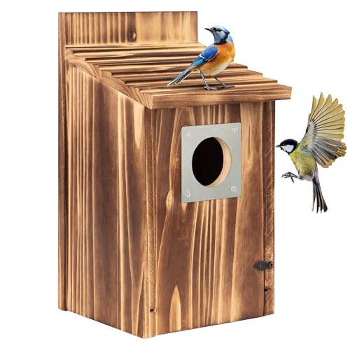 2 Pack Carbonized Wooden Bird Houses with Metal Predator Guard S451