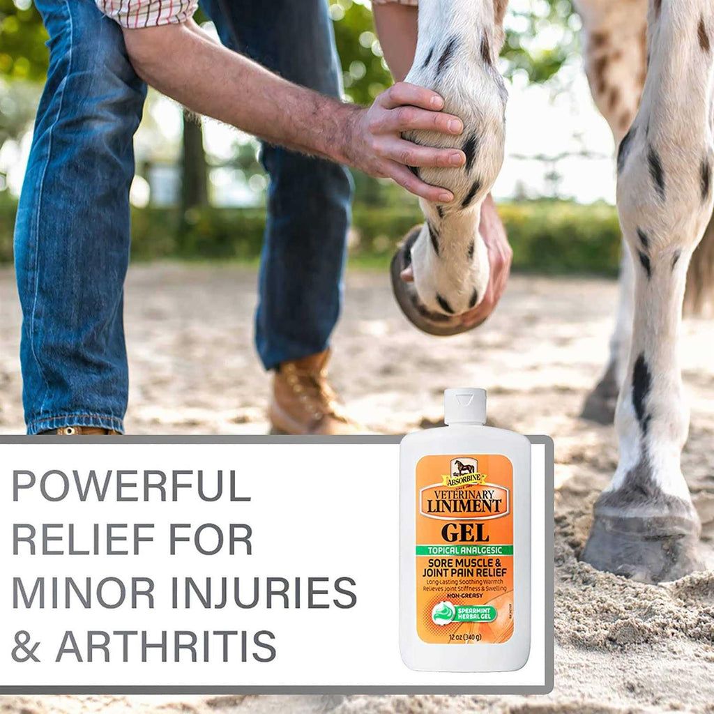 Absorbine Veterinary Liniment Gel N747