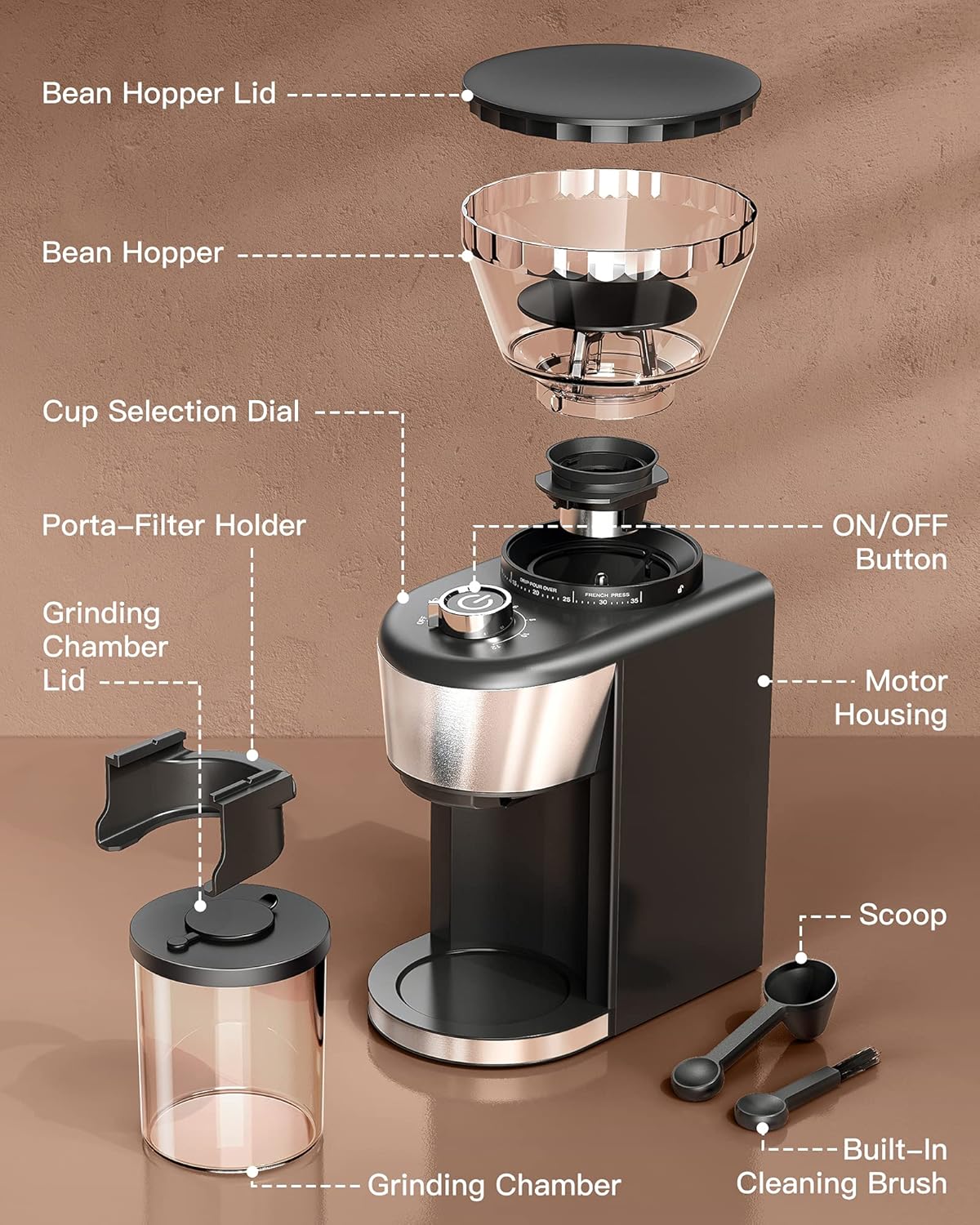 Stainless Steel Conical Burr Coffee Grinder with 35 Grind Settings D879