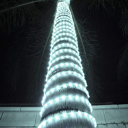 LED Rope Lights with Multifunction Controller 30 Ft K3377
