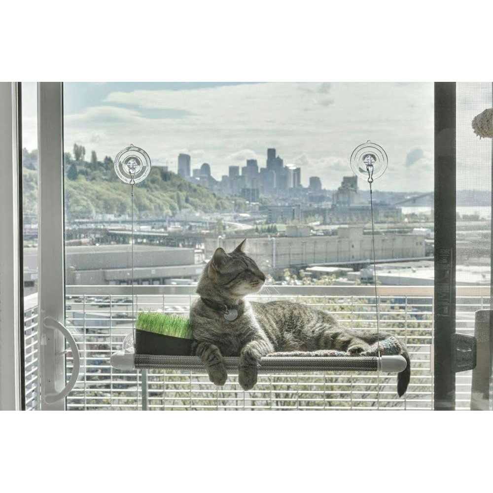 Cat Perch A418916