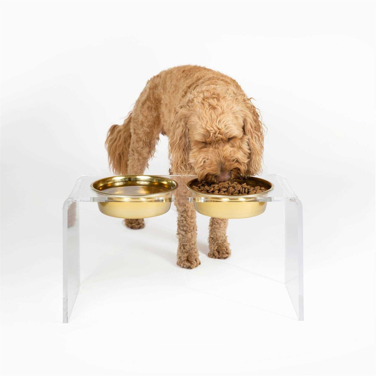 Large Clear Double Bowl Pet Feeder X75486