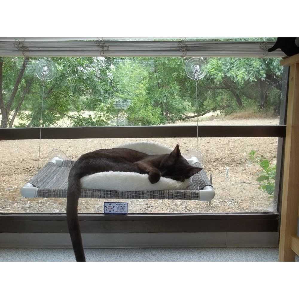 Cat Perch A418916