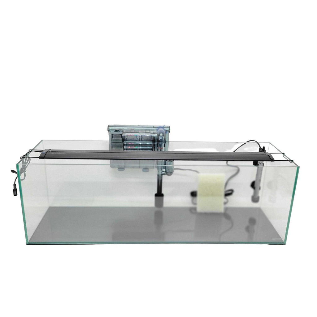 16 Gallon Clear Glass Bookshelf Aquarium Q705844