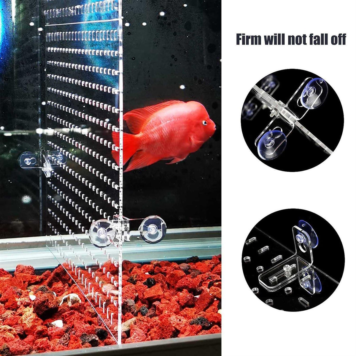 Clear Aquarium Divider with Suction Cups B32515
