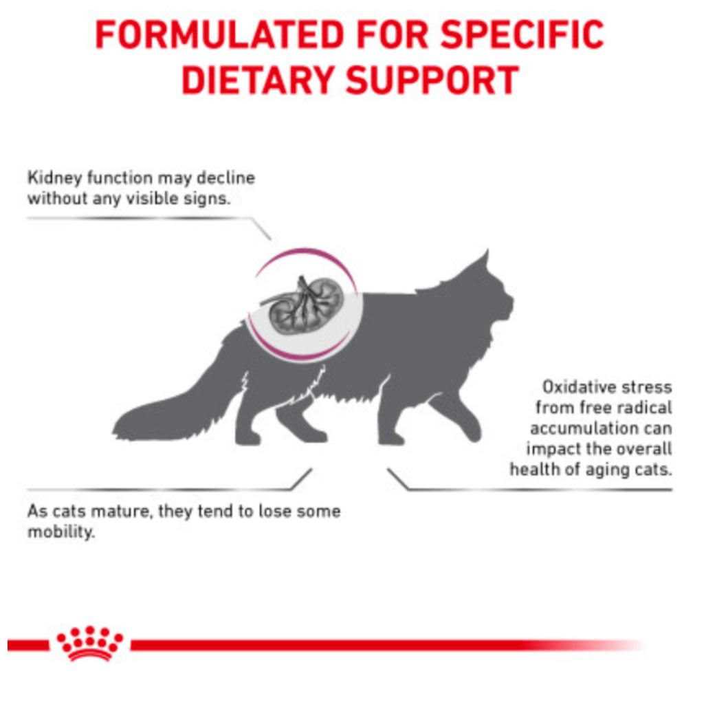 Dry Cat Food S411