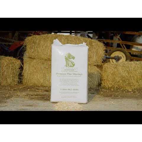 Pine Shaving Pet Supplies S125