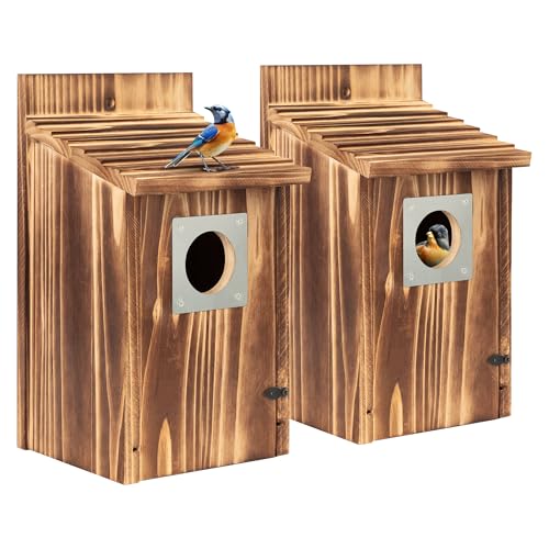 2 Pack Carbonized Wooden Bird Houses with Metal Predator Guard S451