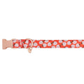 Adjustable Neoprene Dog Collar R224227
