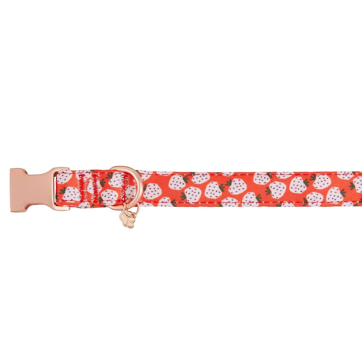 Adjustable Neoprene Dog Collar R224227
