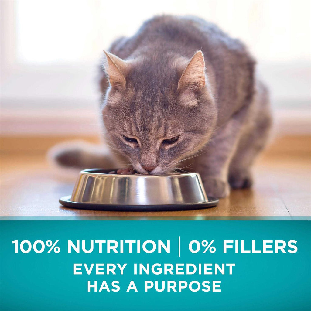 High Protein Grain Free Dry Cat Food L773466