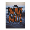 Canvas Art A871