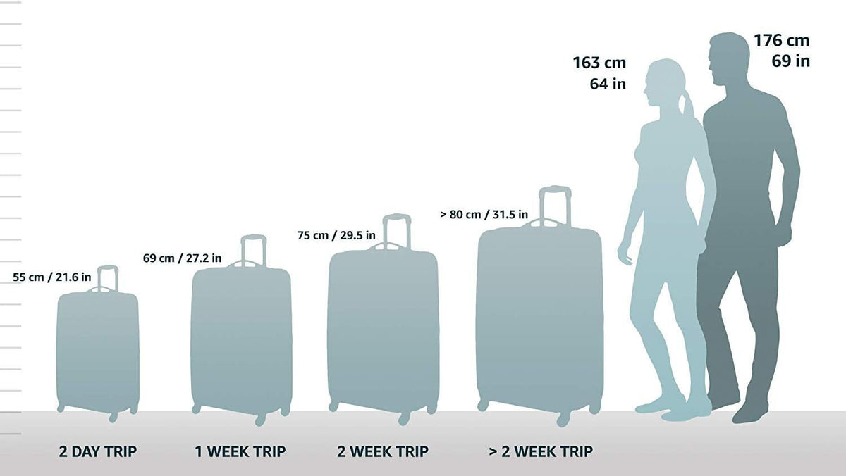 Charcoal Hardside Expandable Spinner Wheel Luggage, Carry-On 20-Inch V873706