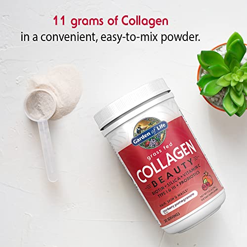 Cranberry Pomegranate Collagen Powder, 20 Servings J802715