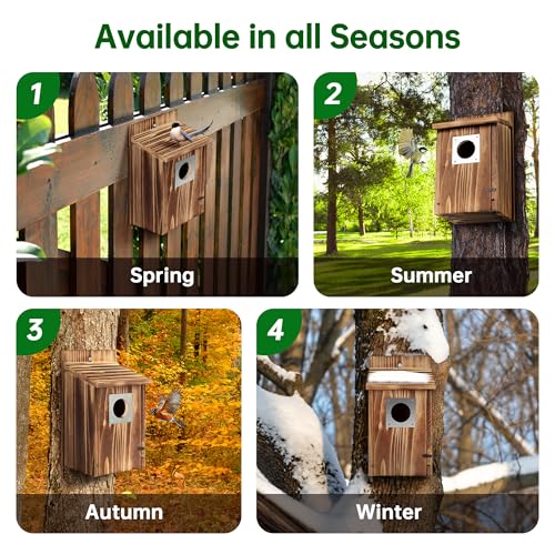 2 Pack Carbonized Wooden Bird Houses with Metal Predator Guard S451
